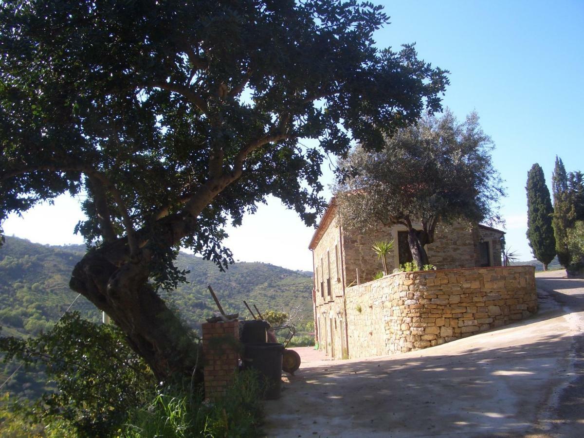 Villa Micheletto à Perdifumo Extérieur photo